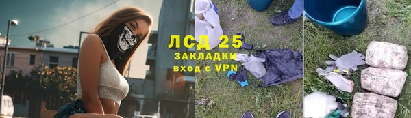 амф Богданович