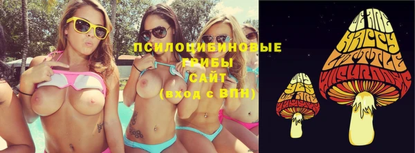 амф Богданович